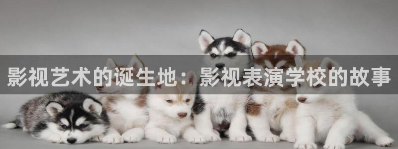 金桔影视app下载：影视艺术的诞生地：影视表演学校的故事