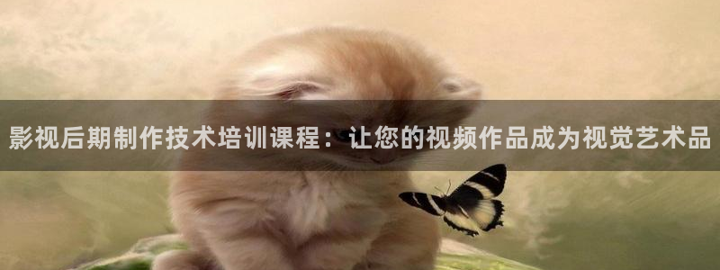 金桔影视app：影视后期制作技术培训课程：让您的视频作品成为视觉艺术品