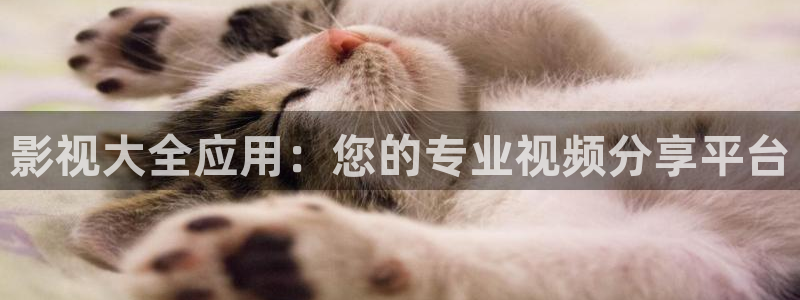 金桔影视网：影视大全应用：您的专业视频分享平台