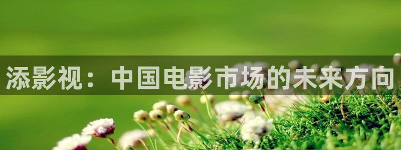 金桔影视在线观看