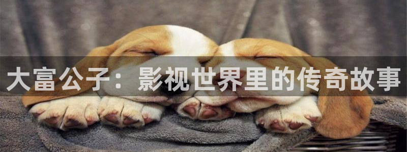 金桔影视app下载