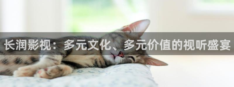 金桔直播免费视频